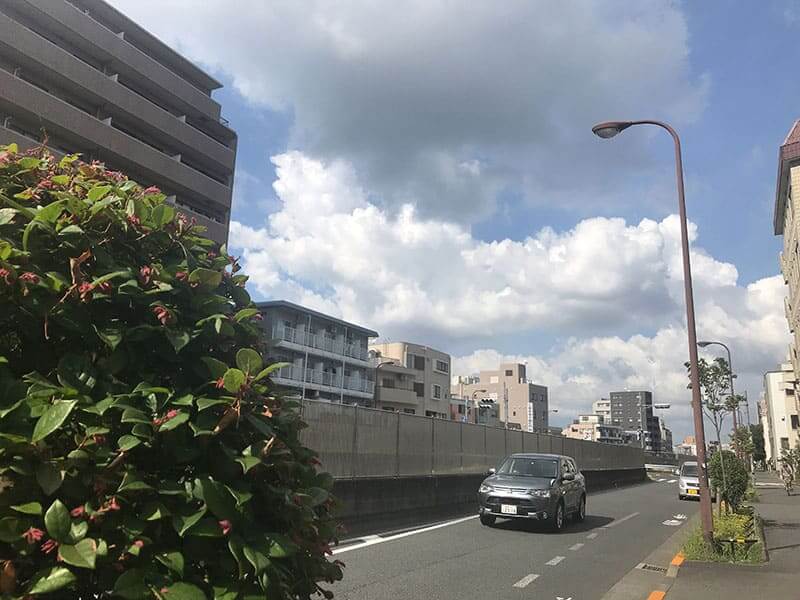 練馬ねむの木ガーデンへの道路