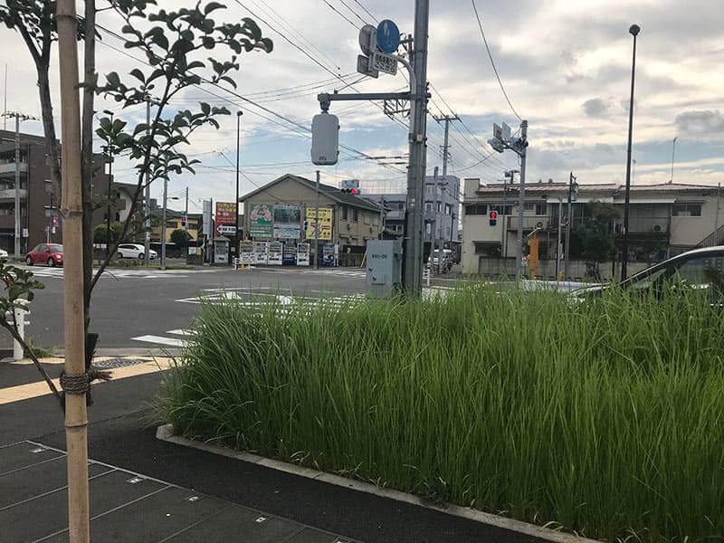 メモリアルガーデン三鷹近くの交差点