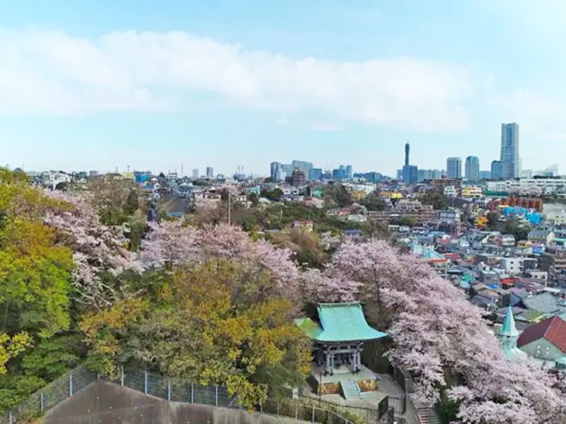 横浜令和の杜