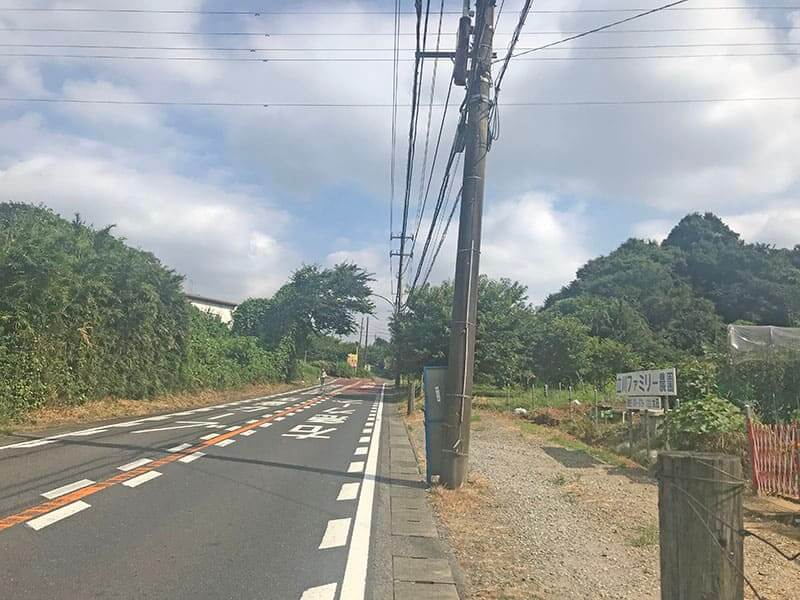 道路の雰囲気