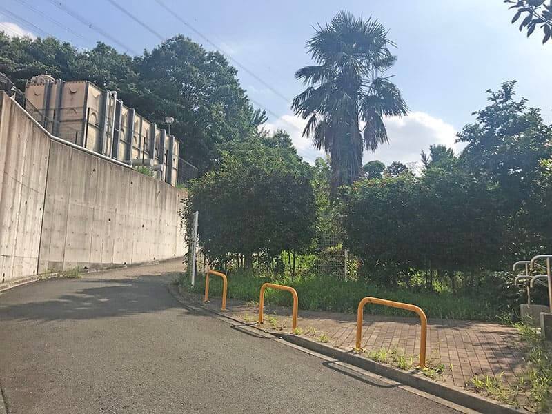 町田いずみ浄苑フォレストパーク道路