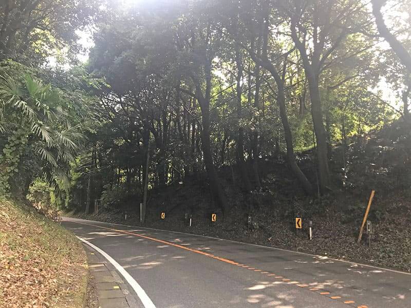 町田いずみ浄苑フォレストパーク近くの林