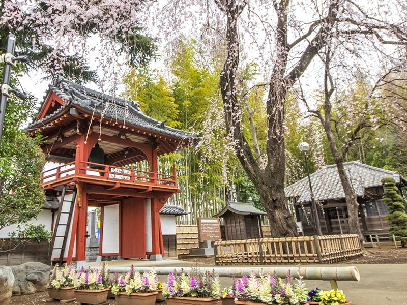 相頓寺墓苑