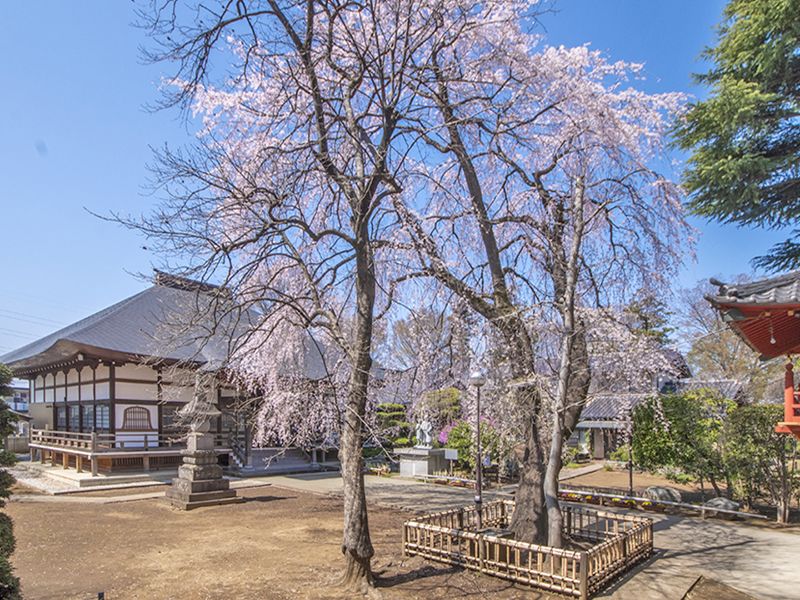 相頓寺墓苑