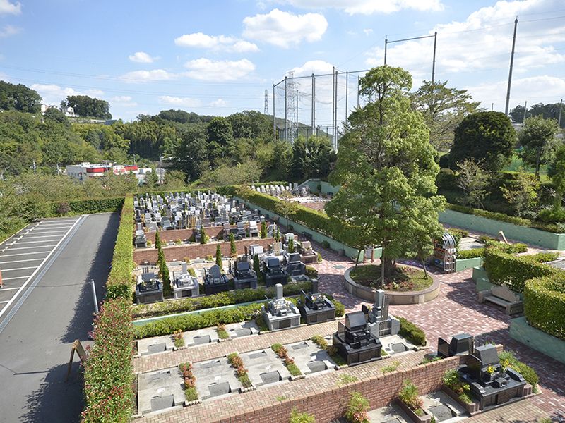 緑に囲まれた美しい園内