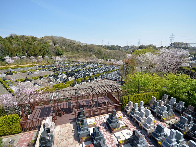 陽当たりの良さが魅力