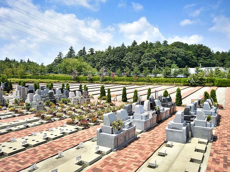 緑に囲まれた美しい園内