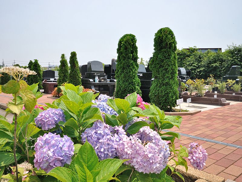 園内の紫陽花