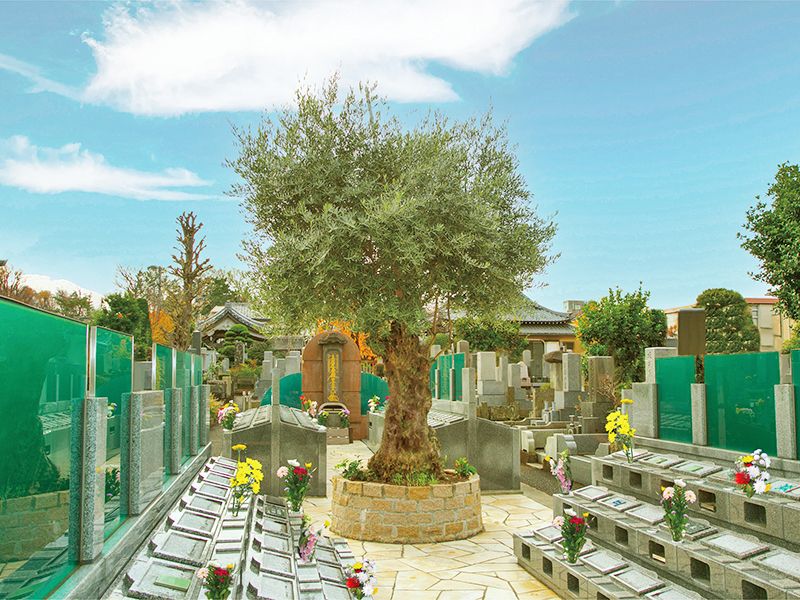 オリーブ光の庭園