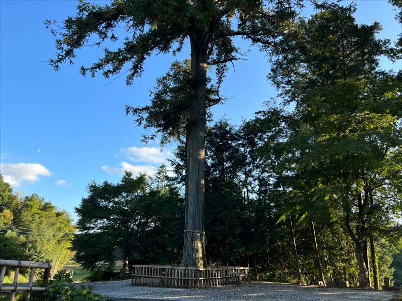 無量寿寺 のうこつぼ