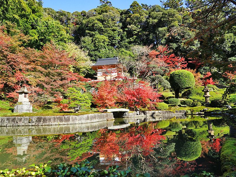 桐岳寺 のうこつぼ