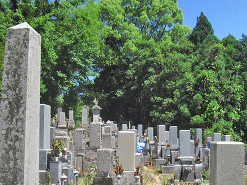 南河内郡河南町 上河内墓地