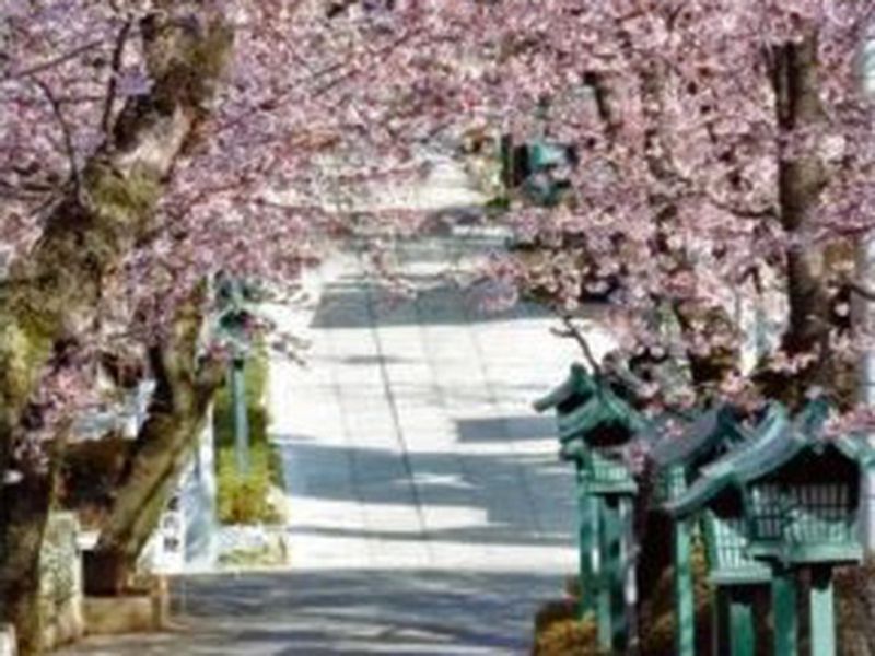 密蔵院