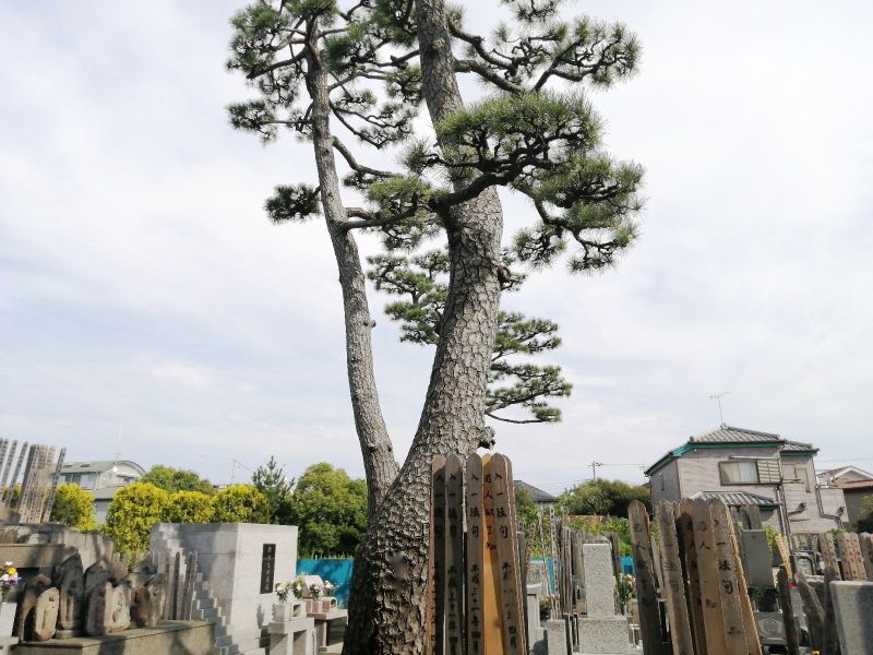 浄閑寺墓苑