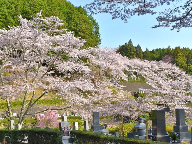 藤枝霊園