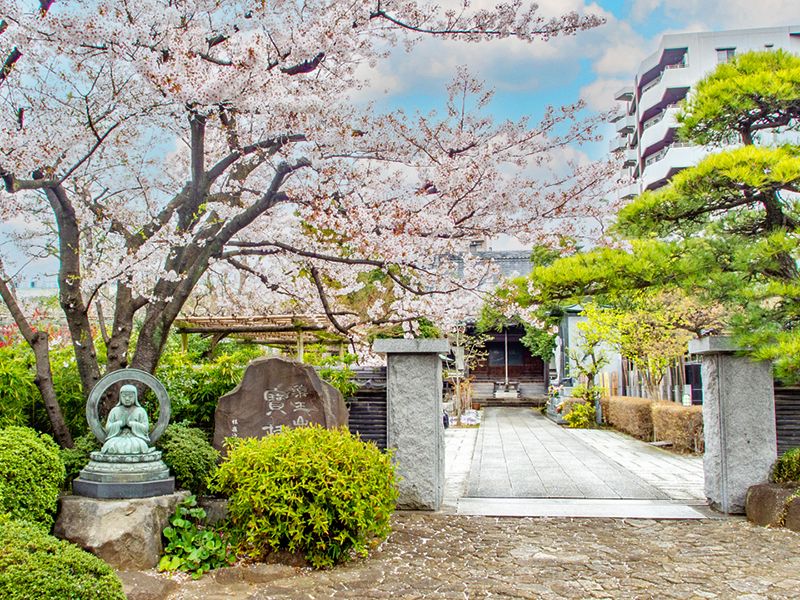 宝持院墓苑 永代供養墓・樹木葬