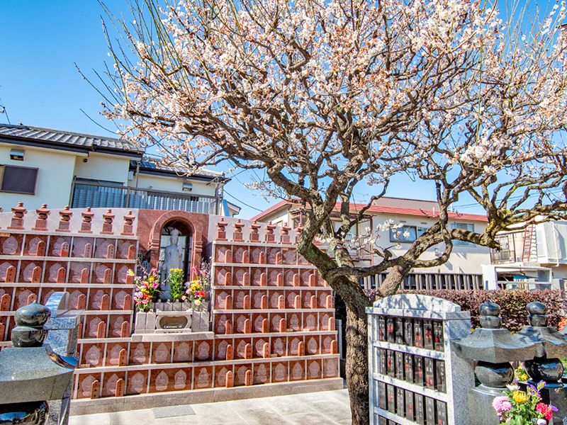 大信寺墓苑 永代供養墓・樹木葬