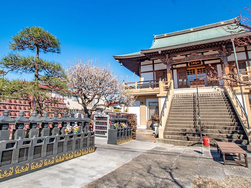 大信寺墓苑 永代供養墓・樹木葬