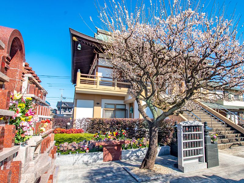 大信寺墓苑 永代供養墓・樹木葬