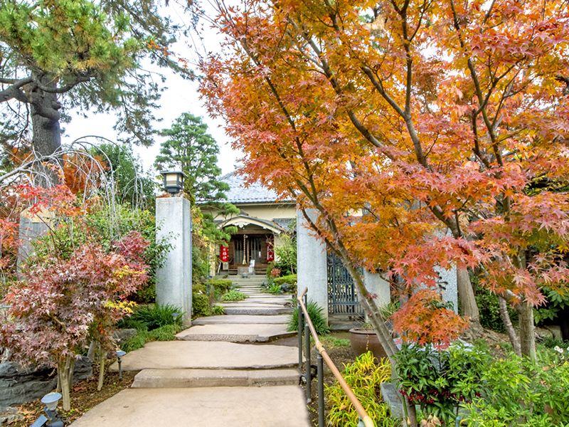 紅葉した庭園の小道