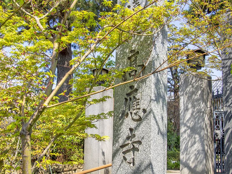木々に囲まれた寺号石