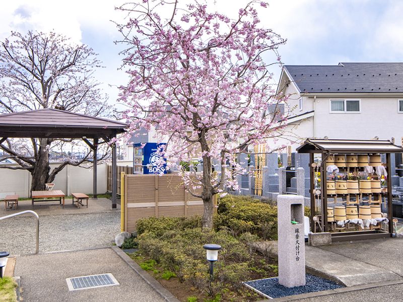 常久寺墓苑 永代供養墓 ・樹木葬
