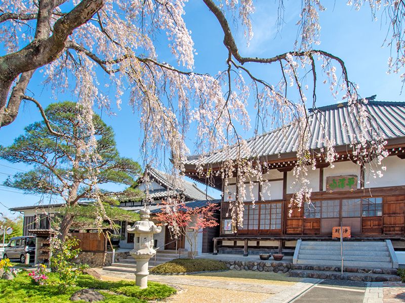 廣済寺墓苑 永代供養墓・樹木葬