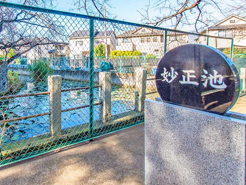 池沿いの境内風景