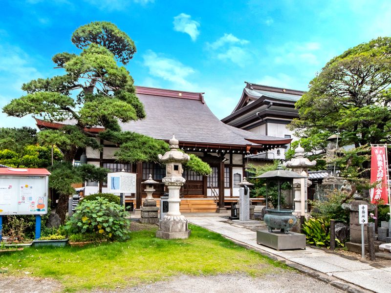 庭木のある本堂外観