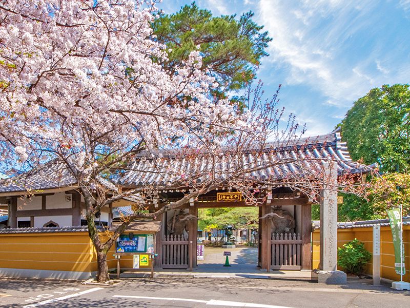 一乗院 永代供養墓・樹木葬