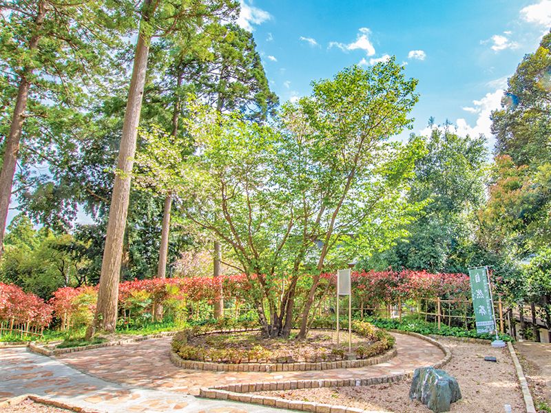 平野山髙藏寺 高倉観音 永代供養墓・樹木葬
