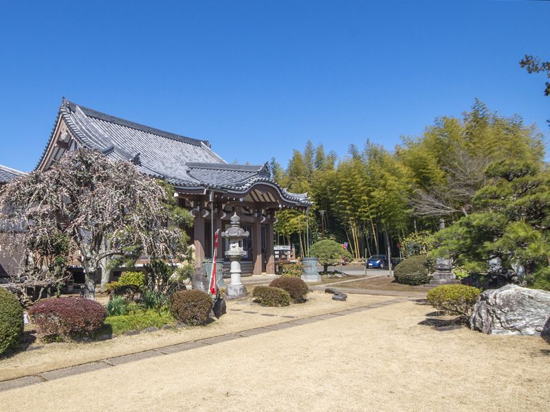 境内から見た本堂外観
