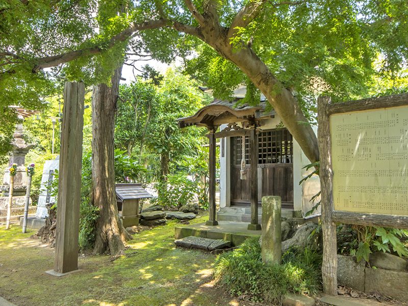 木陰の境内庭園