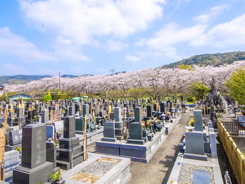 桜越しの墓苑全景