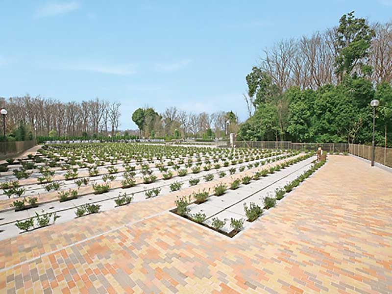 フォレスト所沢　日当たりの良い霊園風景①