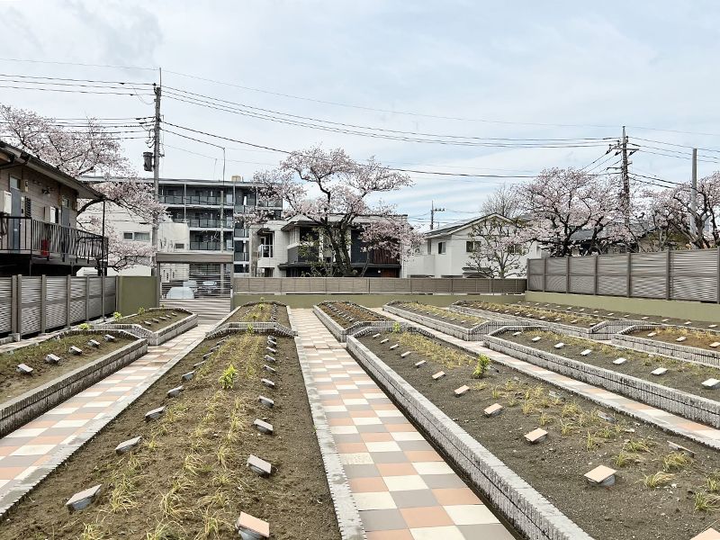 わすれなぐさ