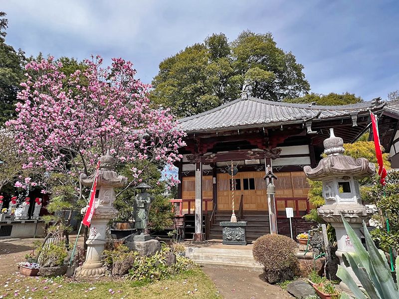 龍昌院 のうこつぼ