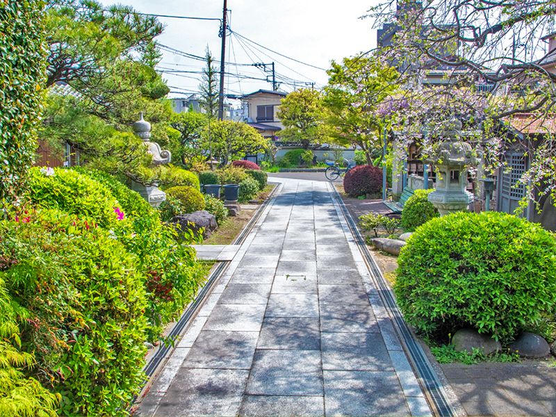 植栽に囲まれた通路