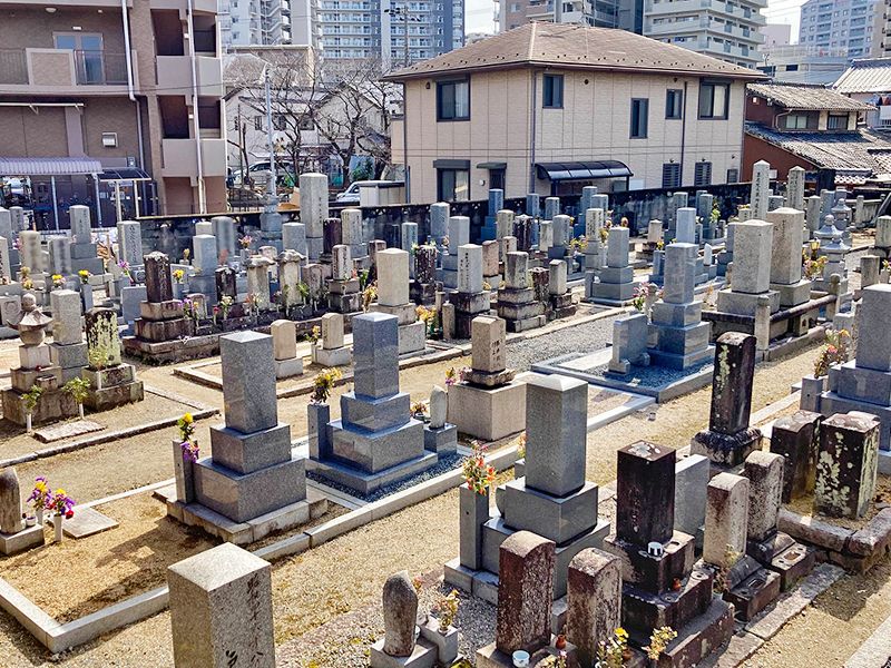 滋賀守山樹木葬墓地