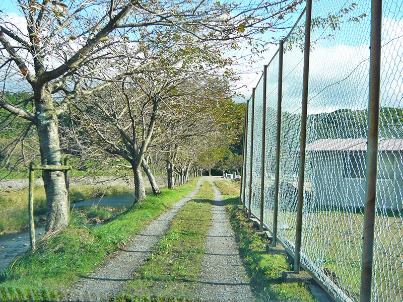中野霊園