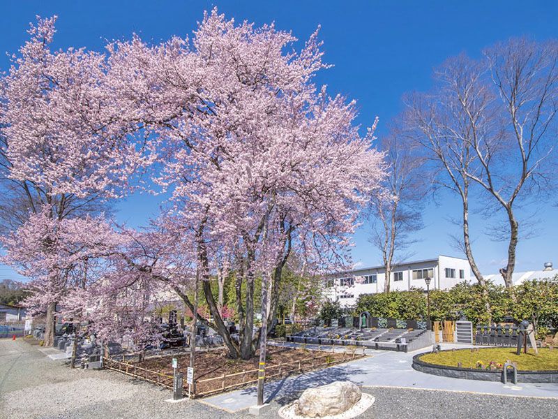 天祐山 仁叟寺 永代供養墓・樹木葬