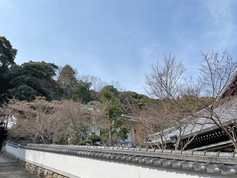 千手山弘法寺遍明院墓地 永代供養塔