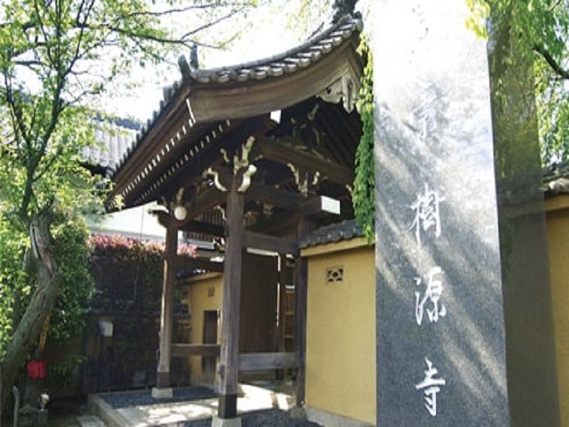 妙秀山 樹源寺　光射す寺号標石