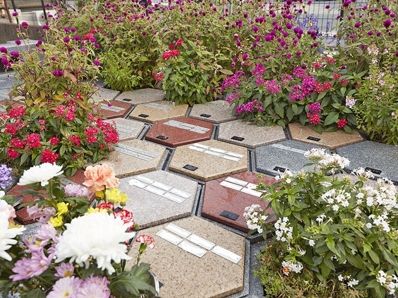 草加アルヴェアージュ