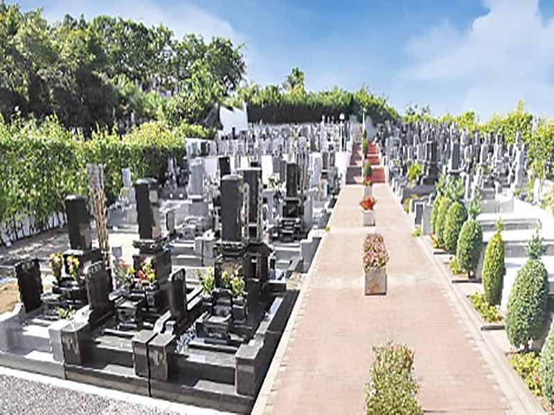 春日部メモリアルヒルズの全景