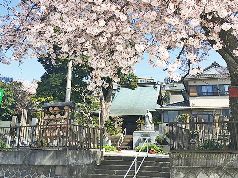 ロイヤル小田原樹木葬墓地