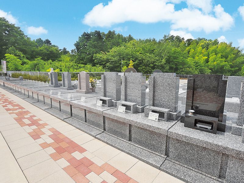 湘南エバーグリーン