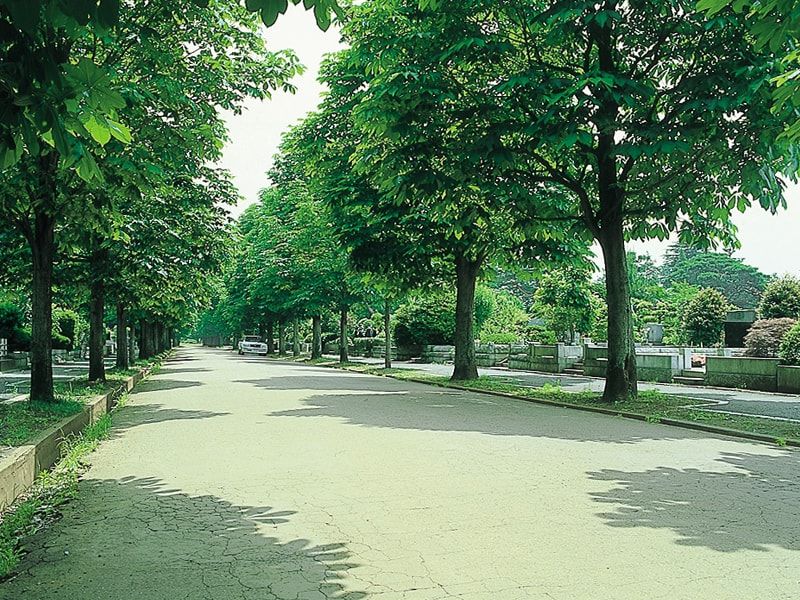 都立 多磨霊園