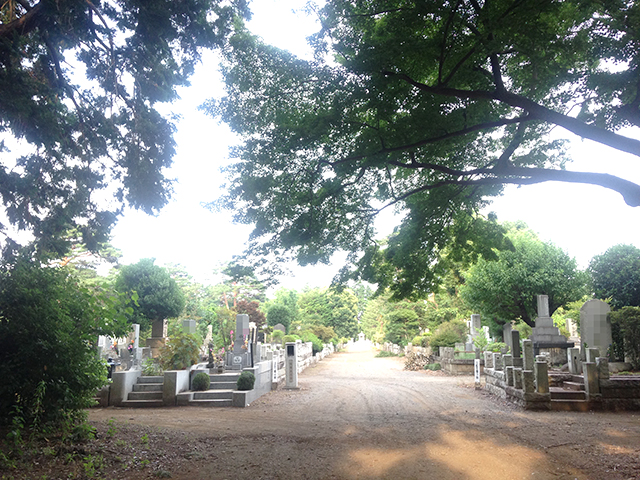 都立 多磨霊園