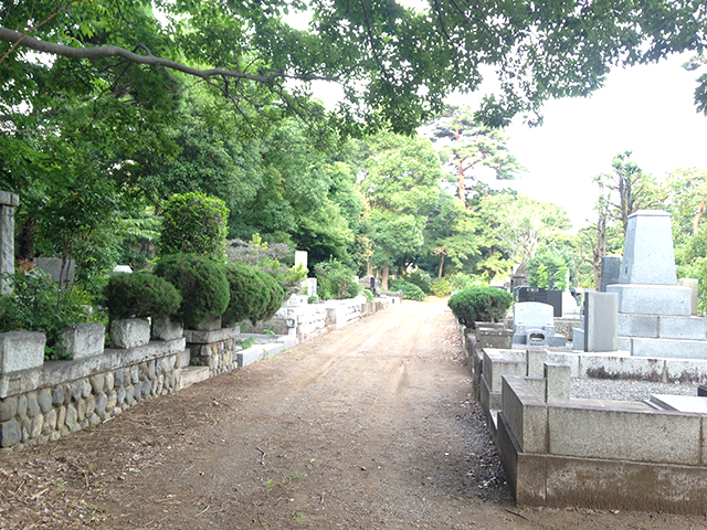 都立 多磨霊園